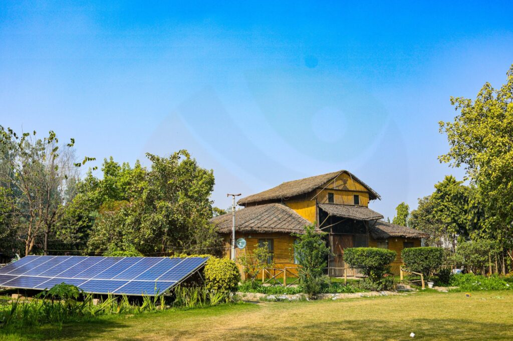 Healing in the Heat: How Nature Can Be the Best Therapy for Children This Summer