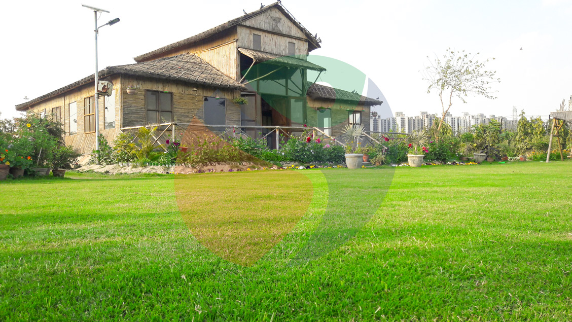 Joy Festival 2012 photo 6