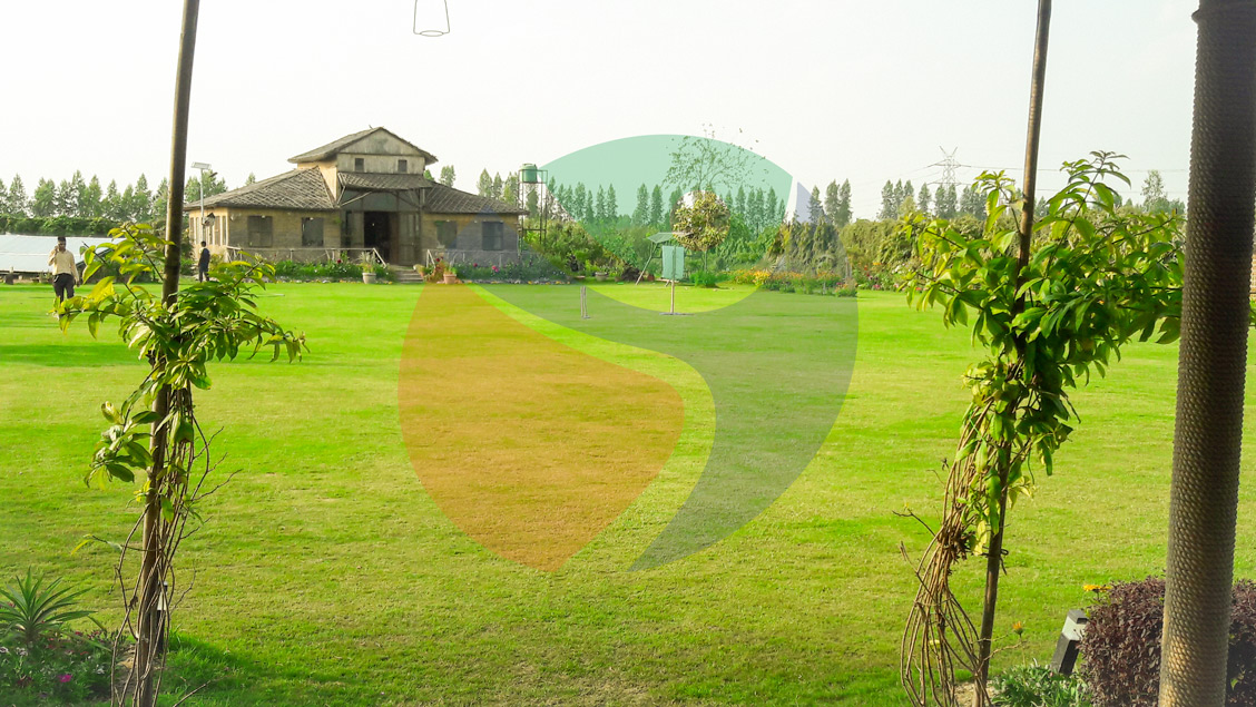 Joy Festival 2012 photo 6