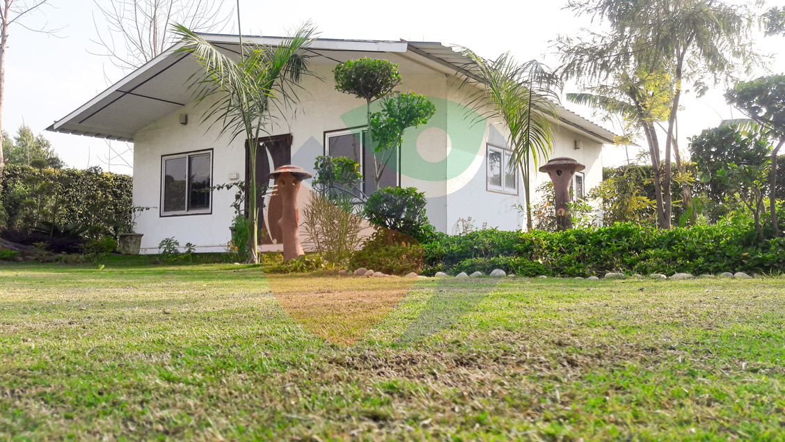 Joy Festival 2012 photo 3