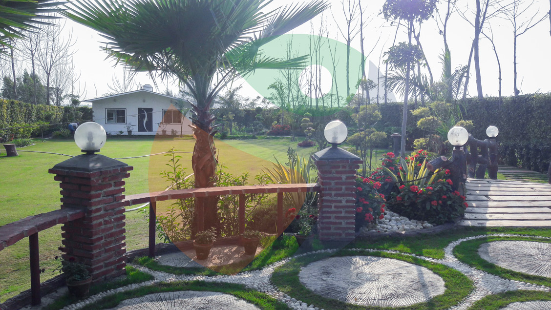 Joy Festival 2012 photo 5