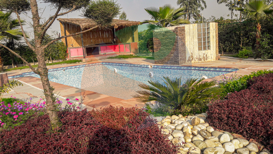 Joy Festival 2012 photo 6