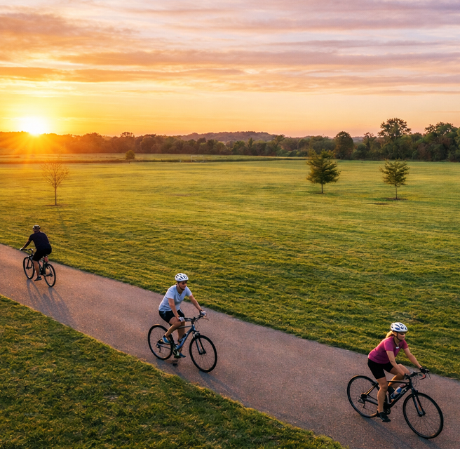 Serene tree-lined cycling and walking path in lush green nature